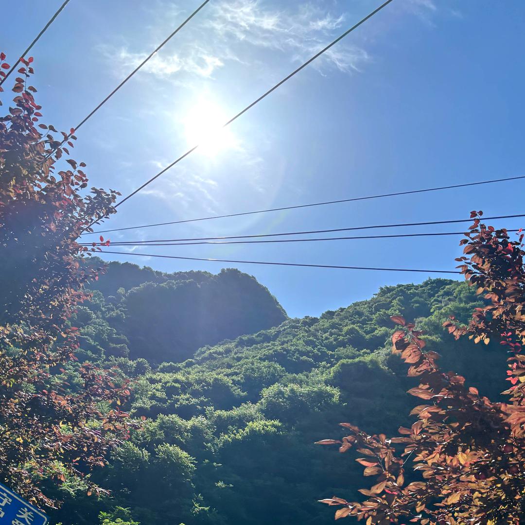 执  念