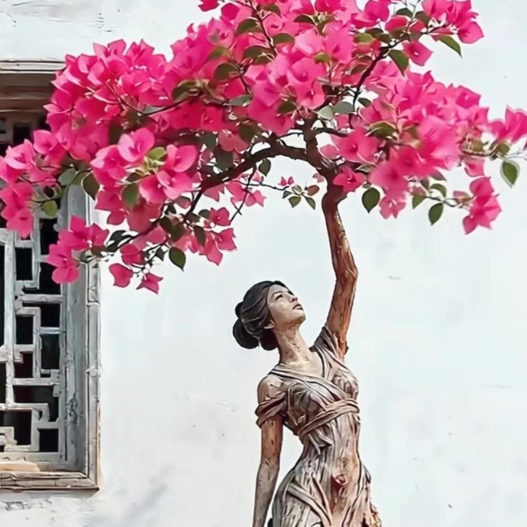 苏沂花卉盆景园