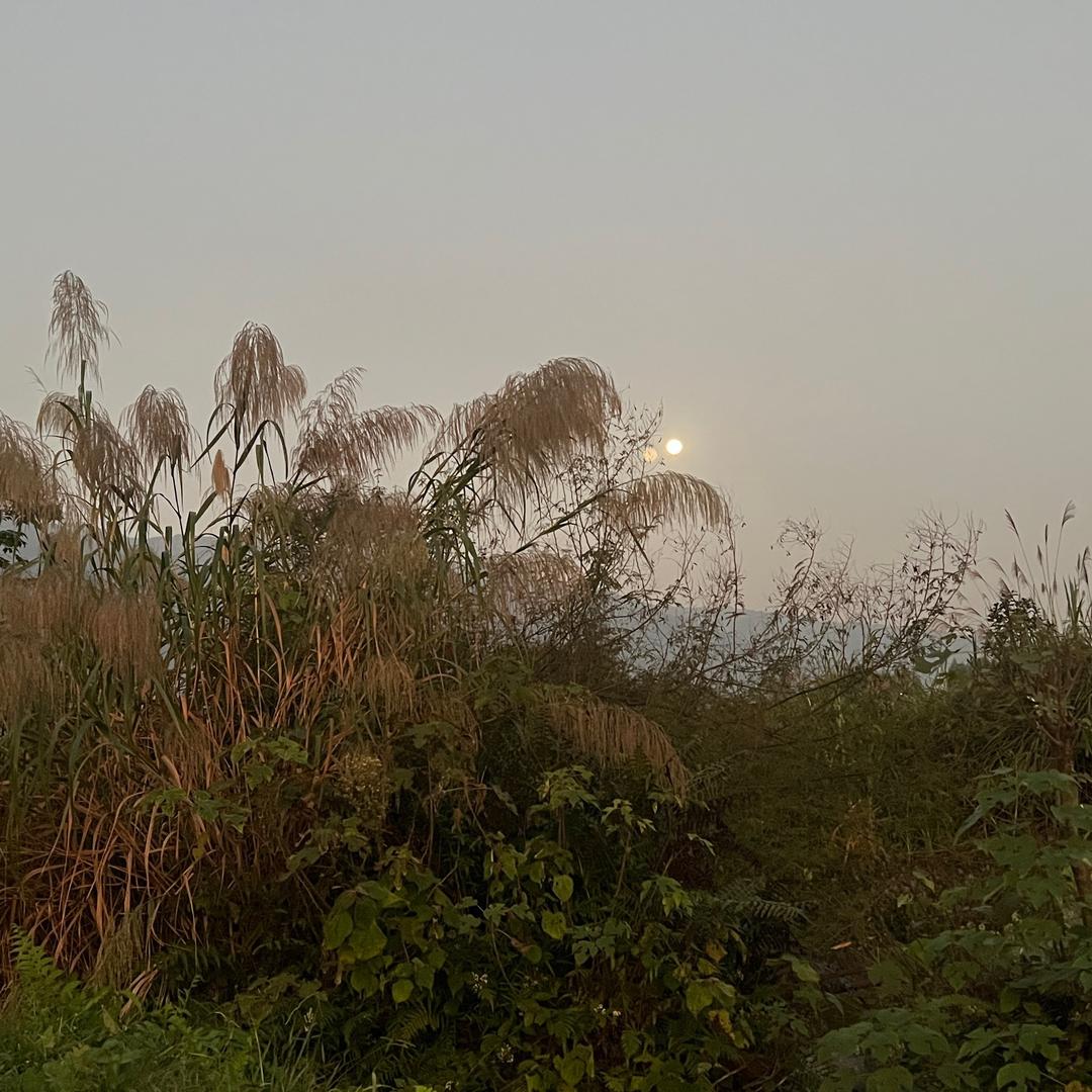 忠心点