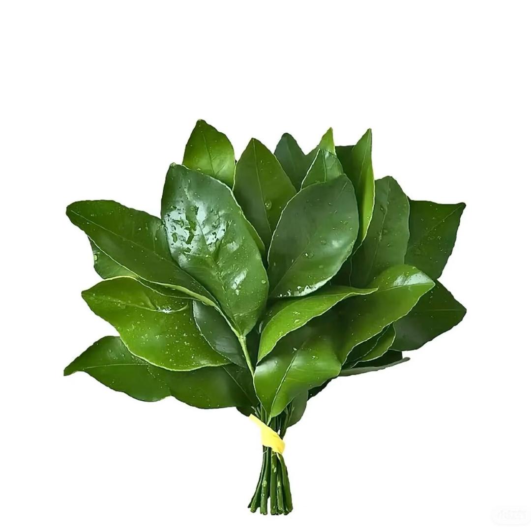 林一亿（连赞拉黑）