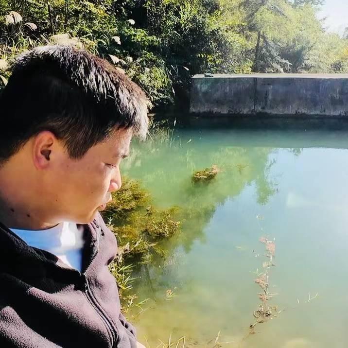 鹏大锤