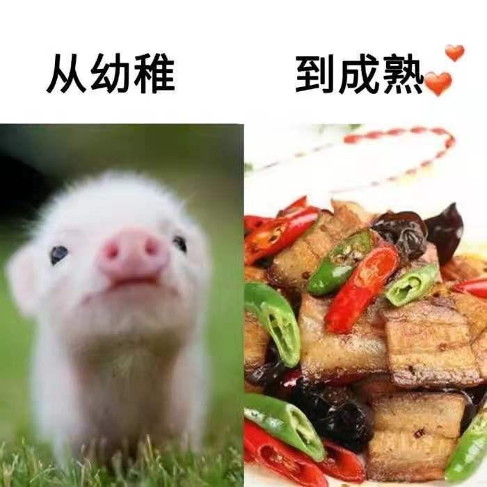 不忘初心.