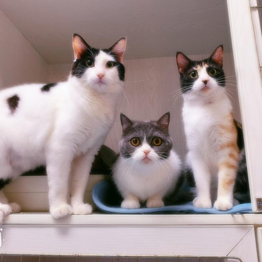 森楠🐍🌈🌳🍀