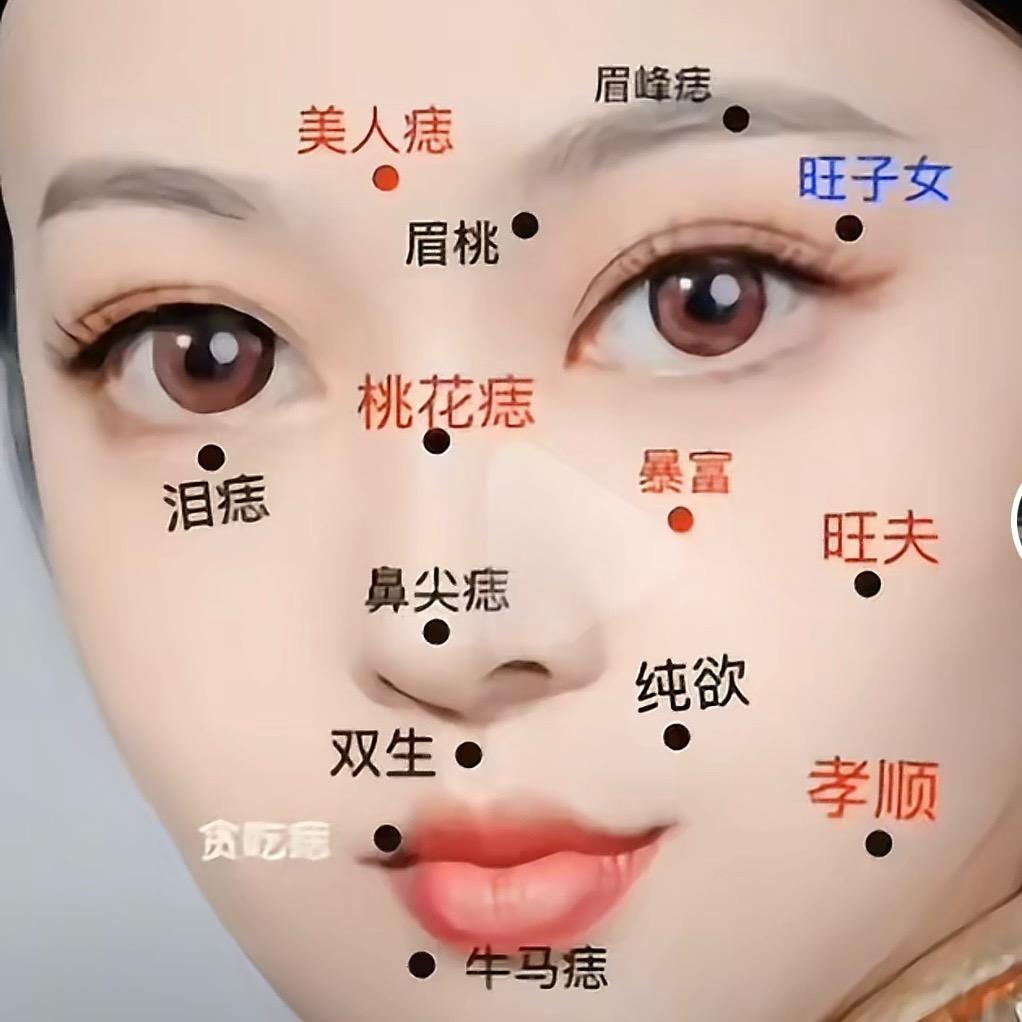 小萝莉(首播)凌晨12-02：00