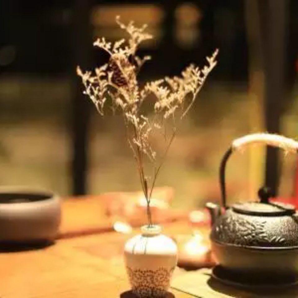 林林（手机摄影）