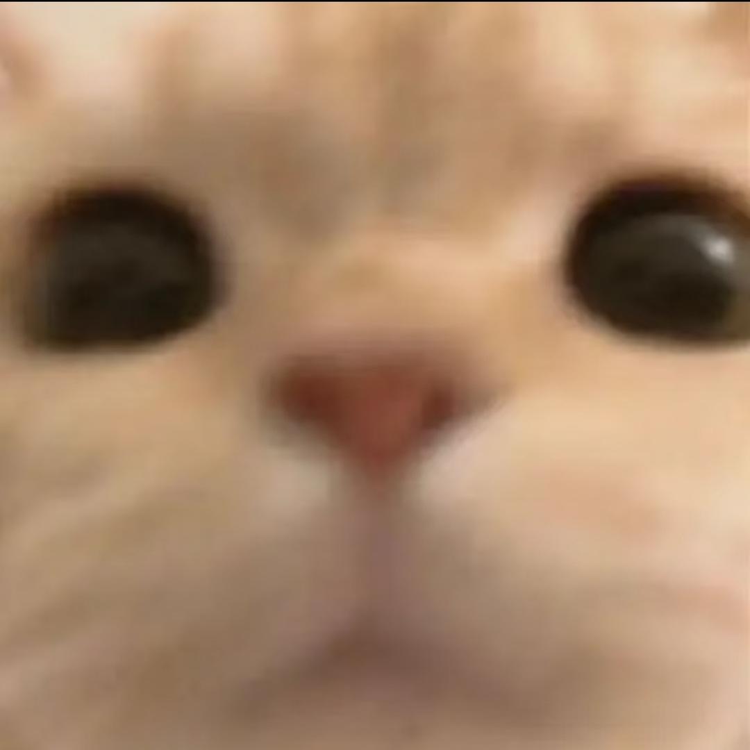 Ay1ki