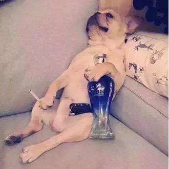 小怪物哇哇叫、