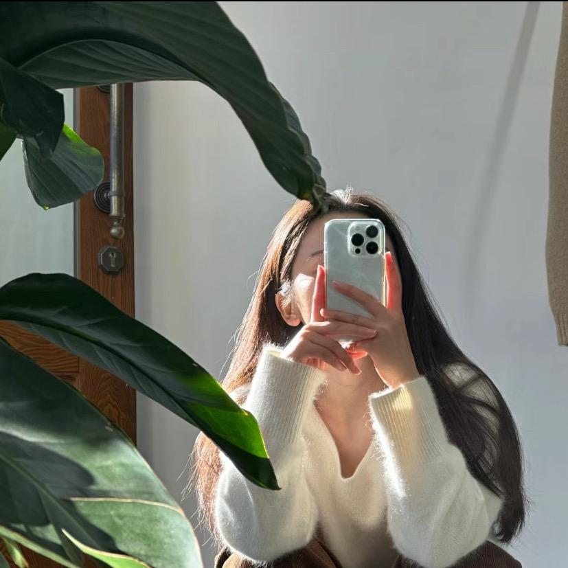 枳实