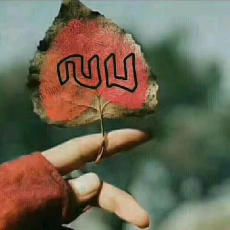 ᯅ້✨꧔ꦿ⁵²⁰🍂