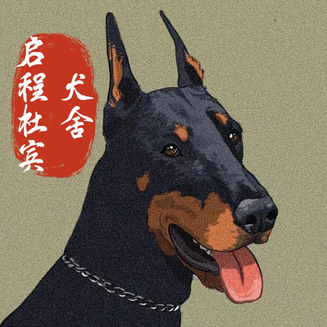 启程杜宾犬舍宠物用品