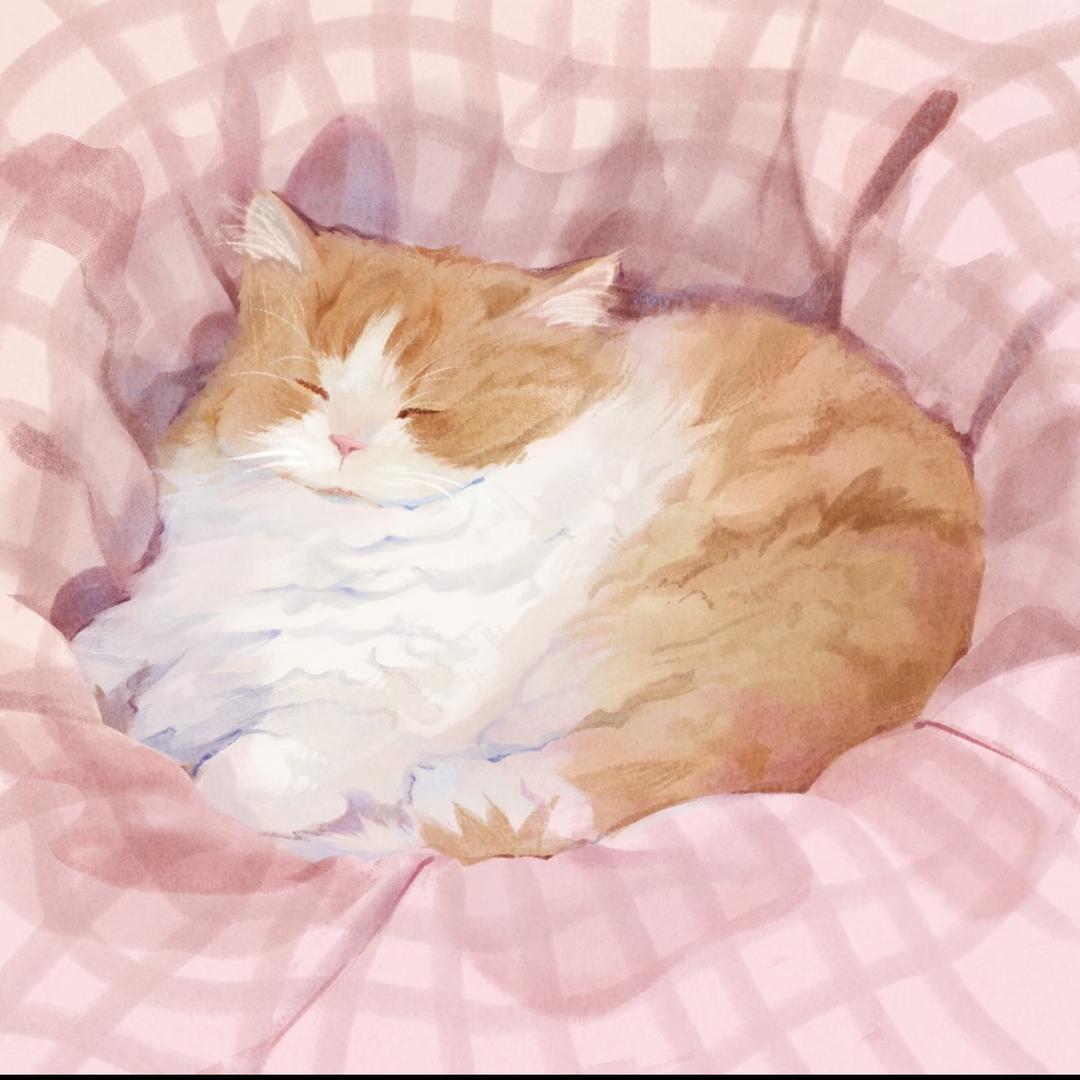 ᯠ  _   ̫  _ ̥ ᯄ ੭