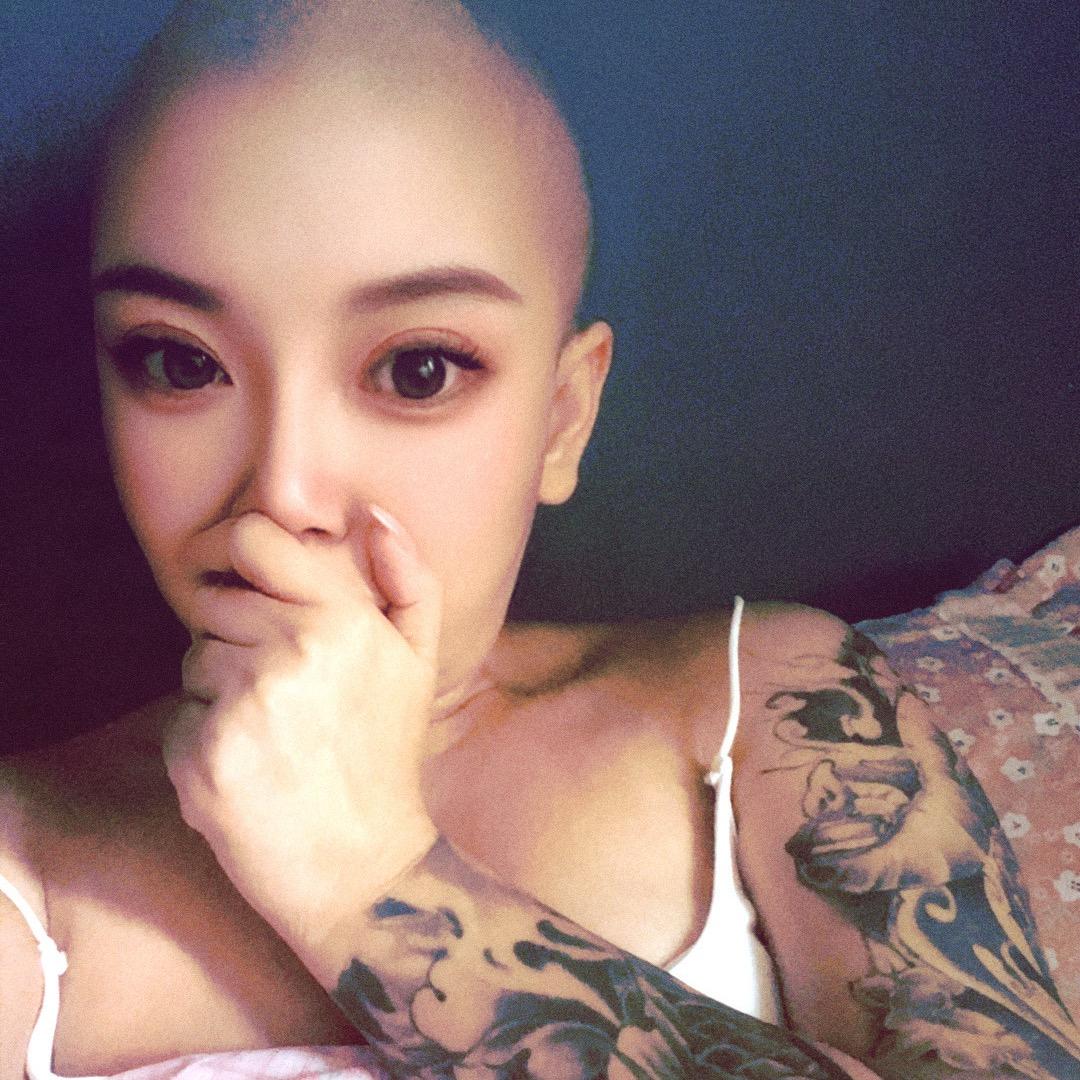 洋柿子（清晨的朝阳929）