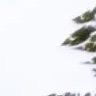 岳阳李姐