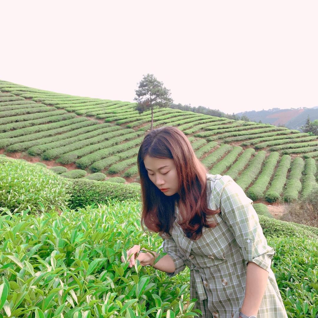 慧慧🍃武夷山慕贤堂茶业有限公司