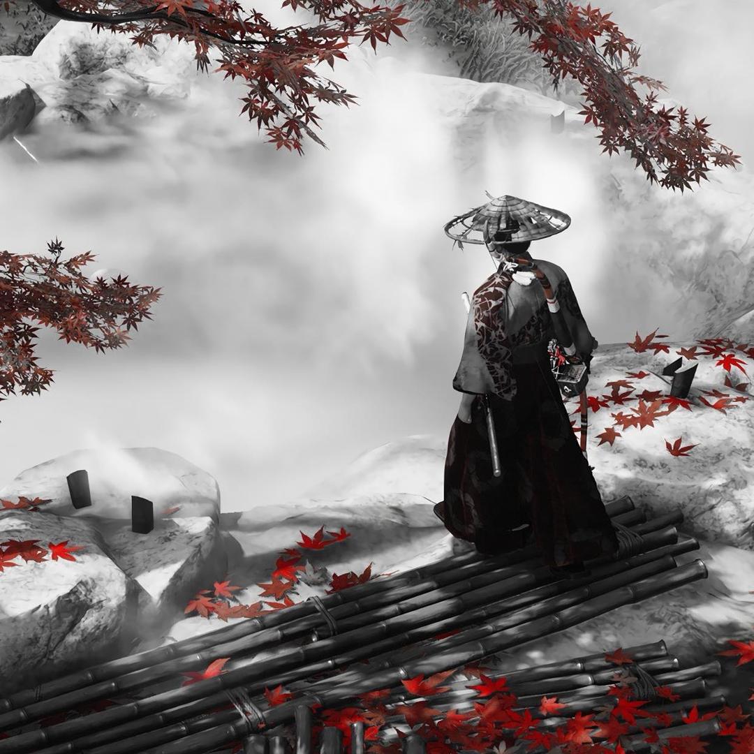 楠熙