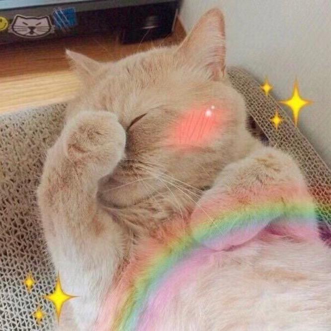 🌈静如喵丶