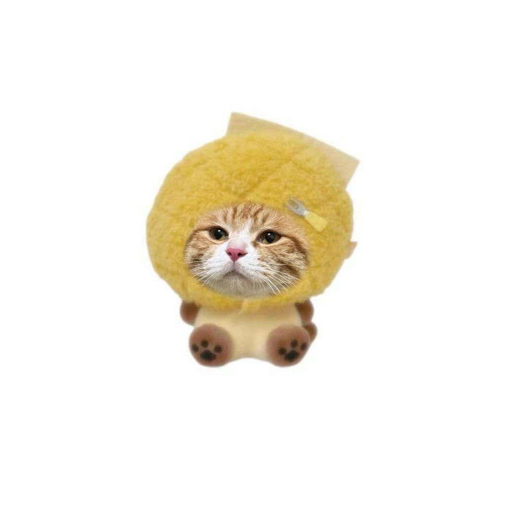 一白同学