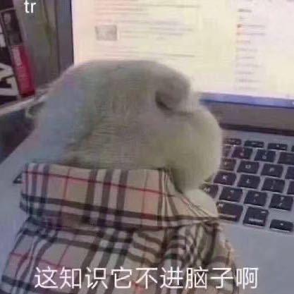 努力毕业版
