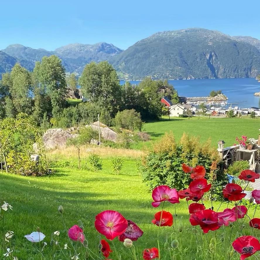 濤暘臻选（工敞直发）