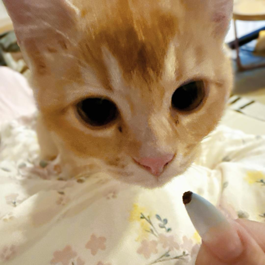 魔法少女郭德纲