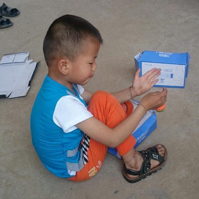 秋去春来的燕子