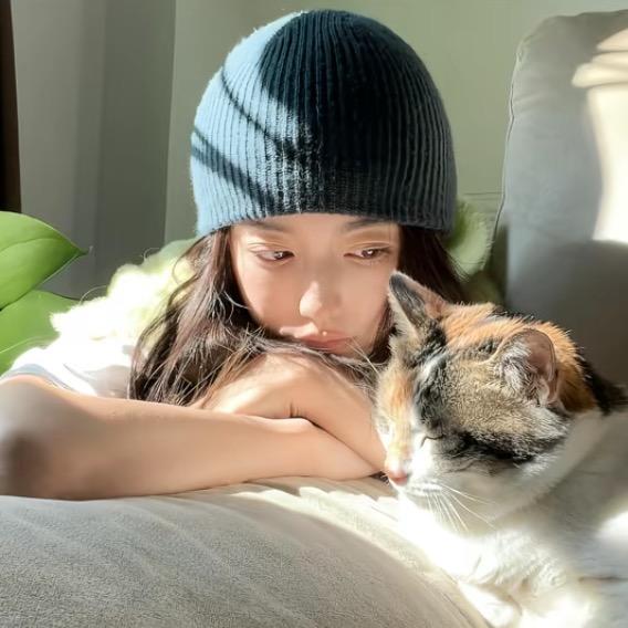 一根忧郁的猫毛.