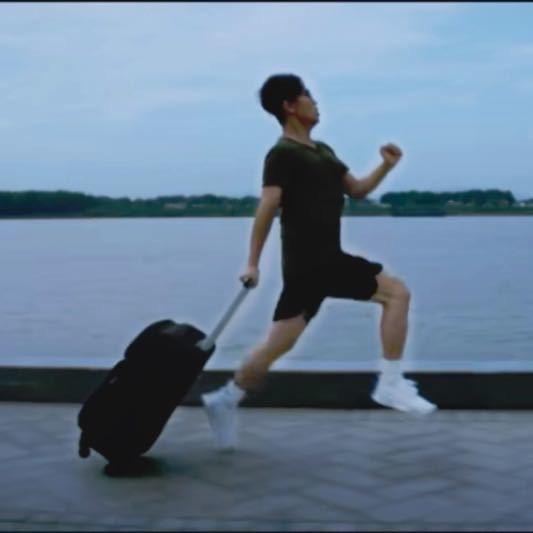 果乐文旦-青枫