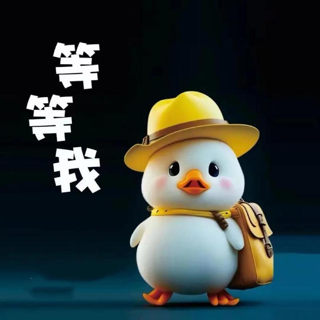 ㅤㅤ 　ㅤㅤ加油鸭🦆