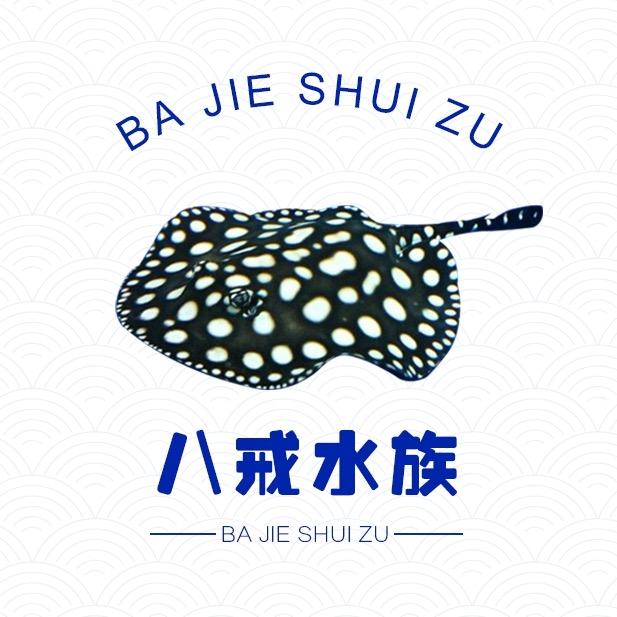 八戒水族