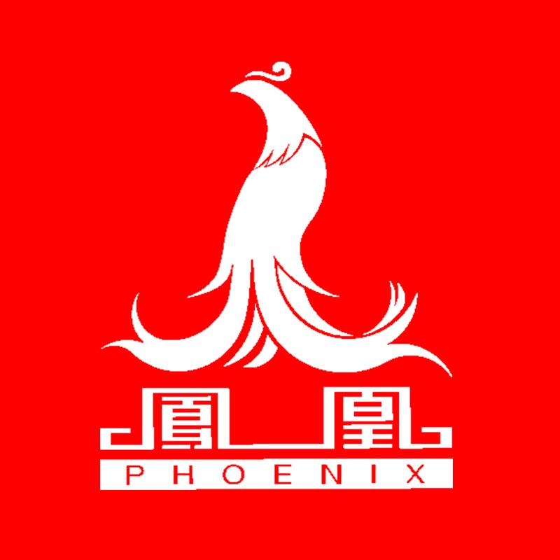凤凰凤中凤儿童自行车专卖店