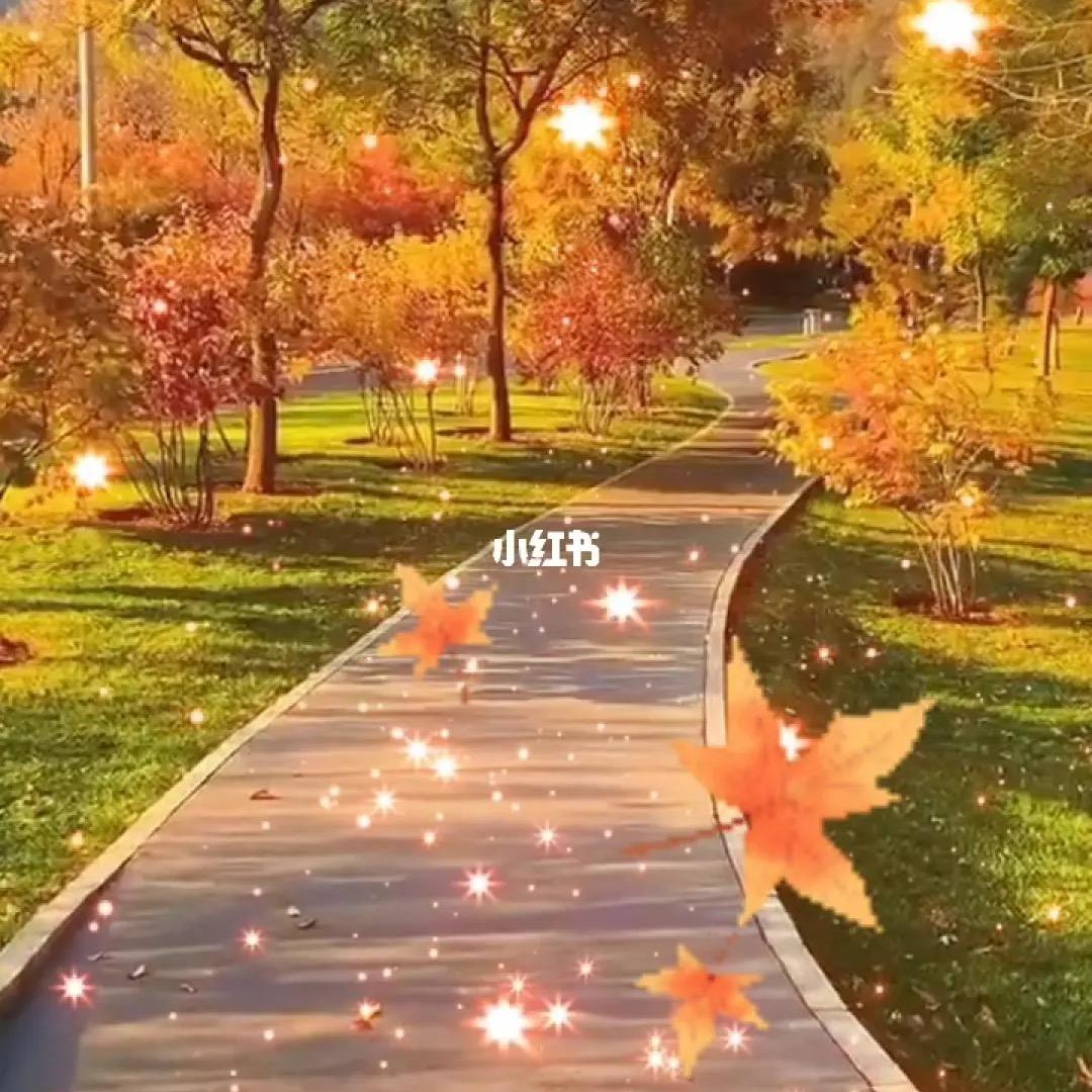 落叶🍂知秋