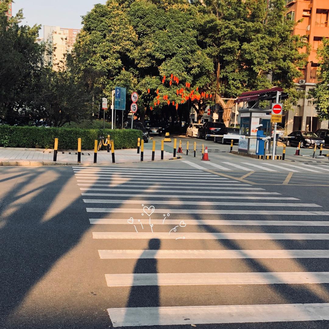 腿毛叔叔杂货铺