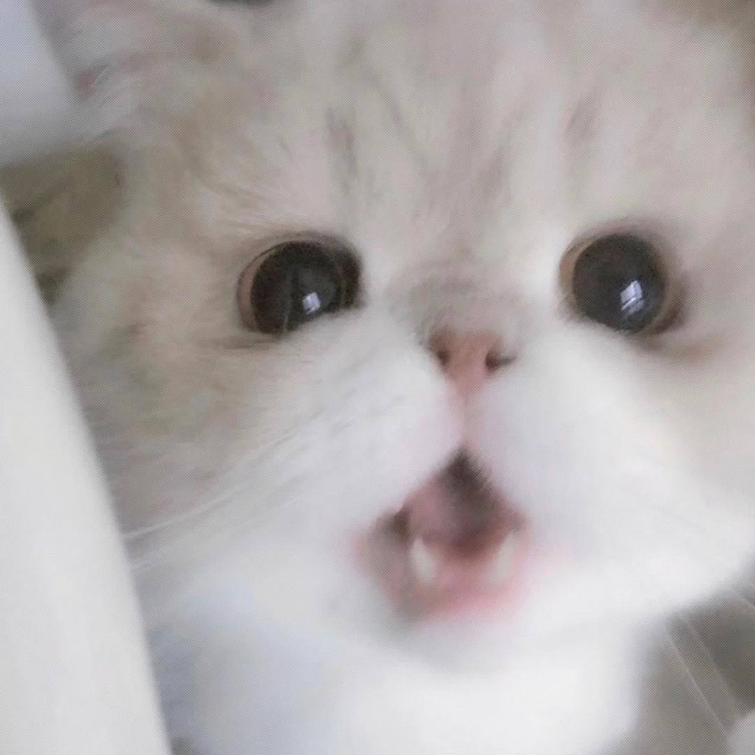 yyy