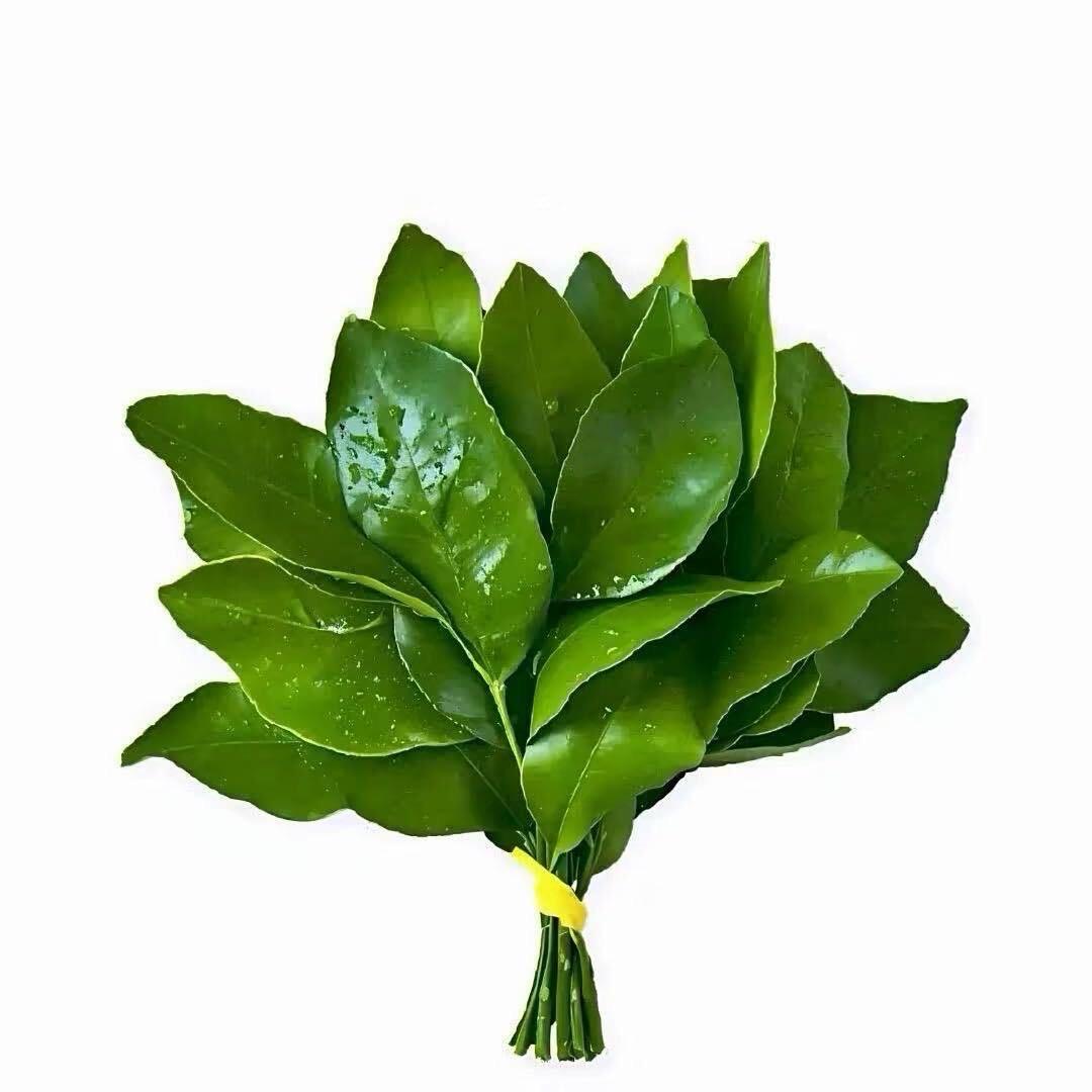 笑的最凶的小羊！