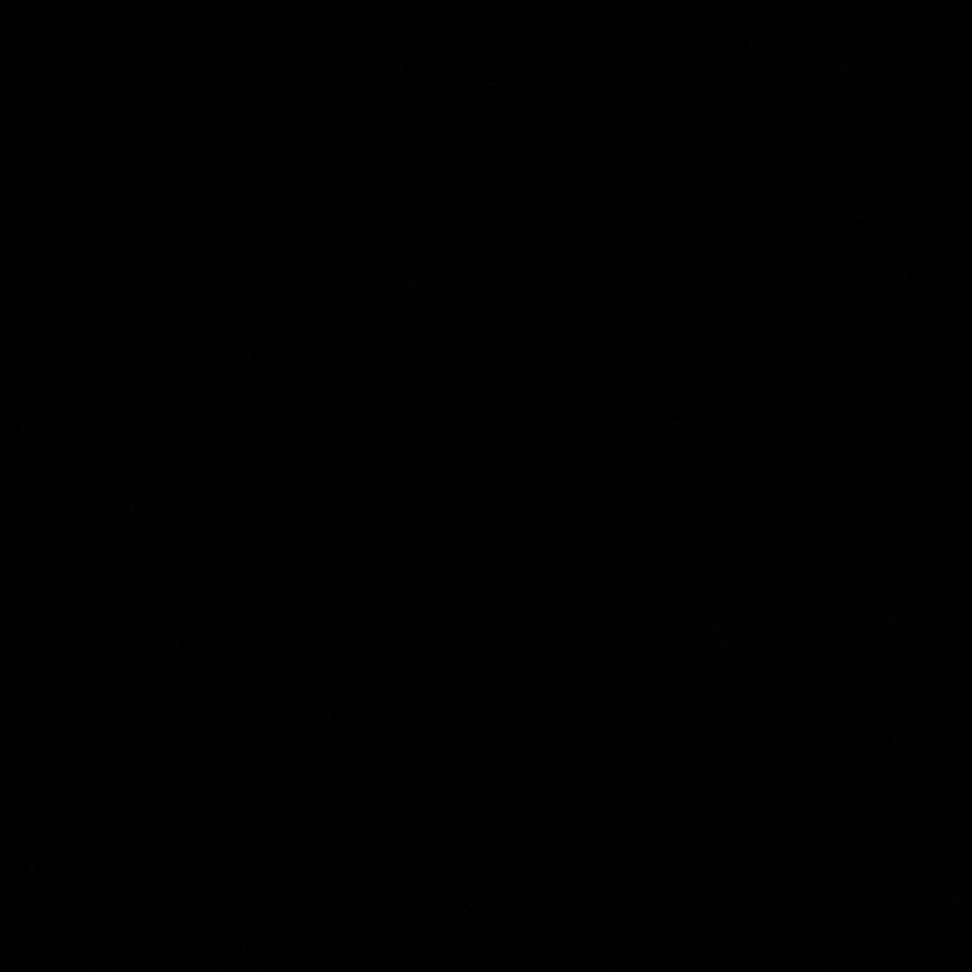 我的小猫叫曲奇