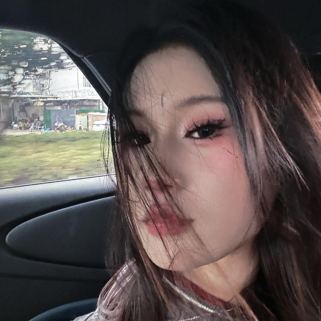 帕尼尼.