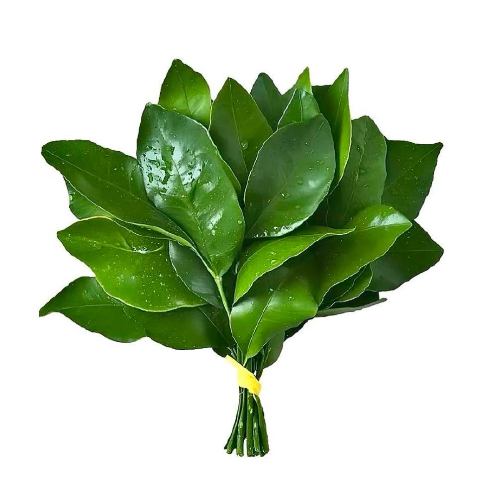 一颗小桃子