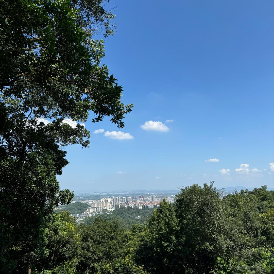 皆喜焊线加工厂