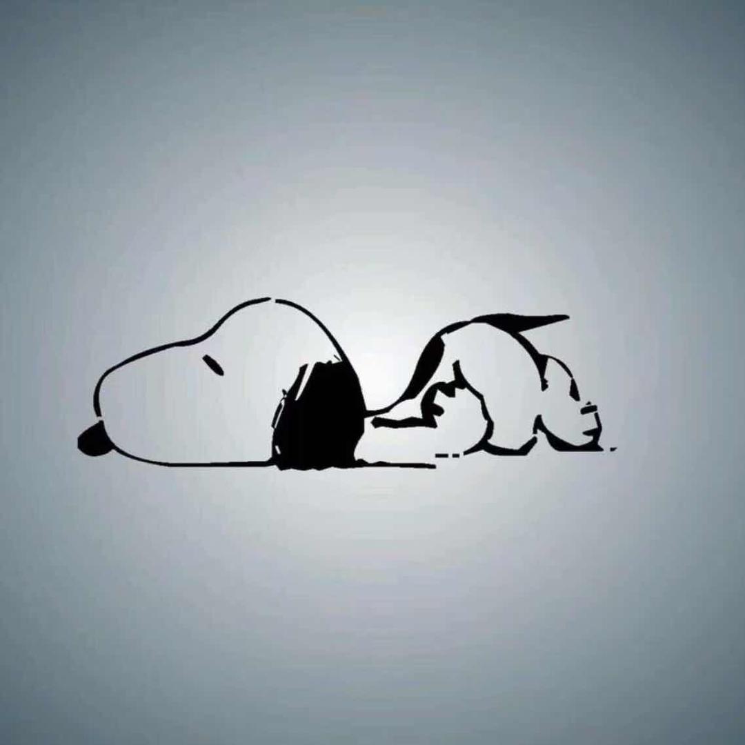 进击的哈士奇