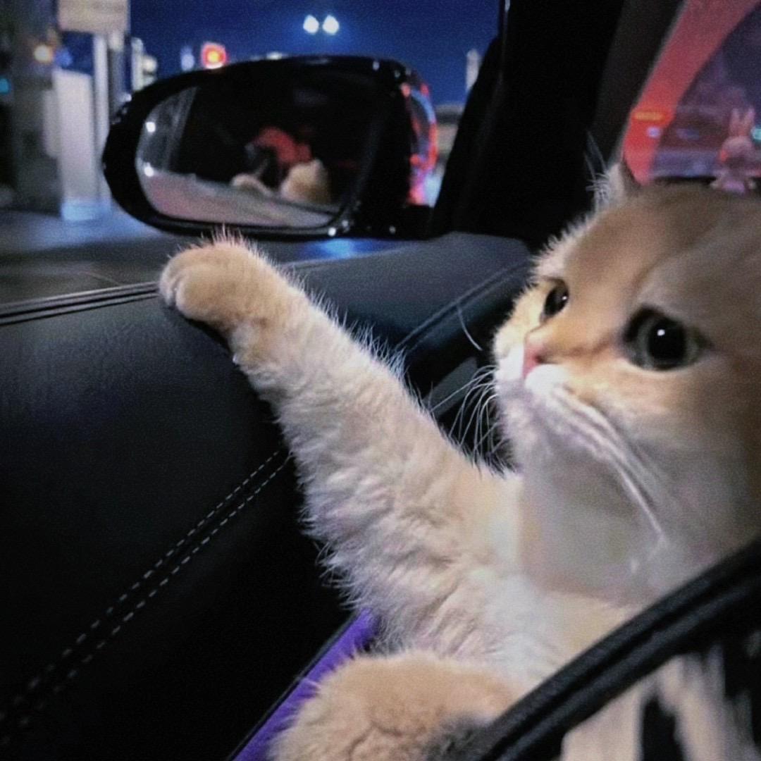 走远了