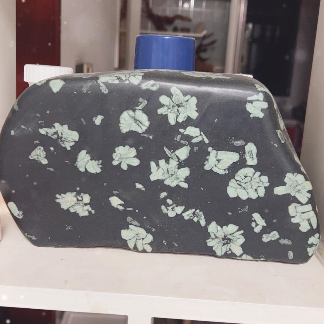 老高来了