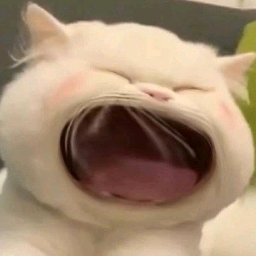 affy