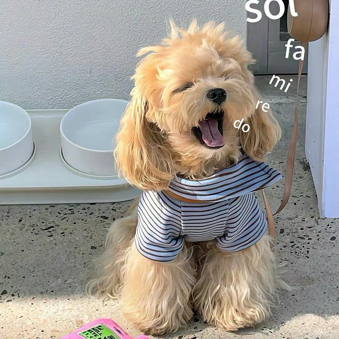 磨墨