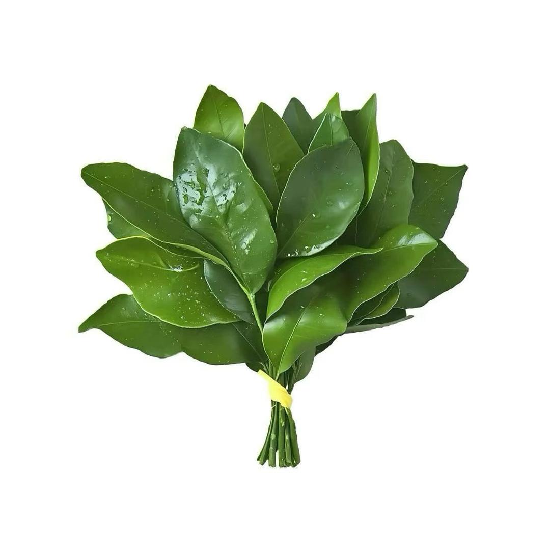 瑞子