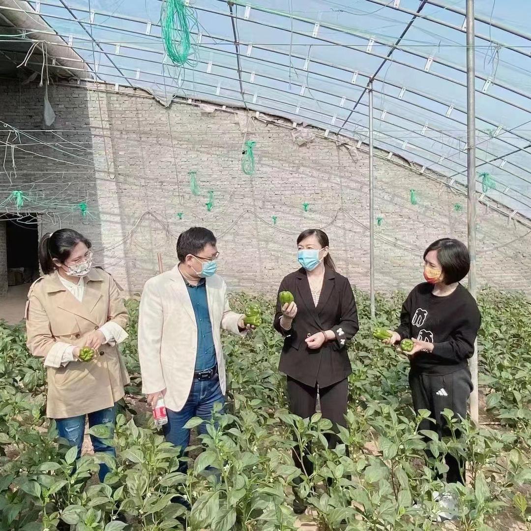 梦波月儿弯弯洁牙工厂店