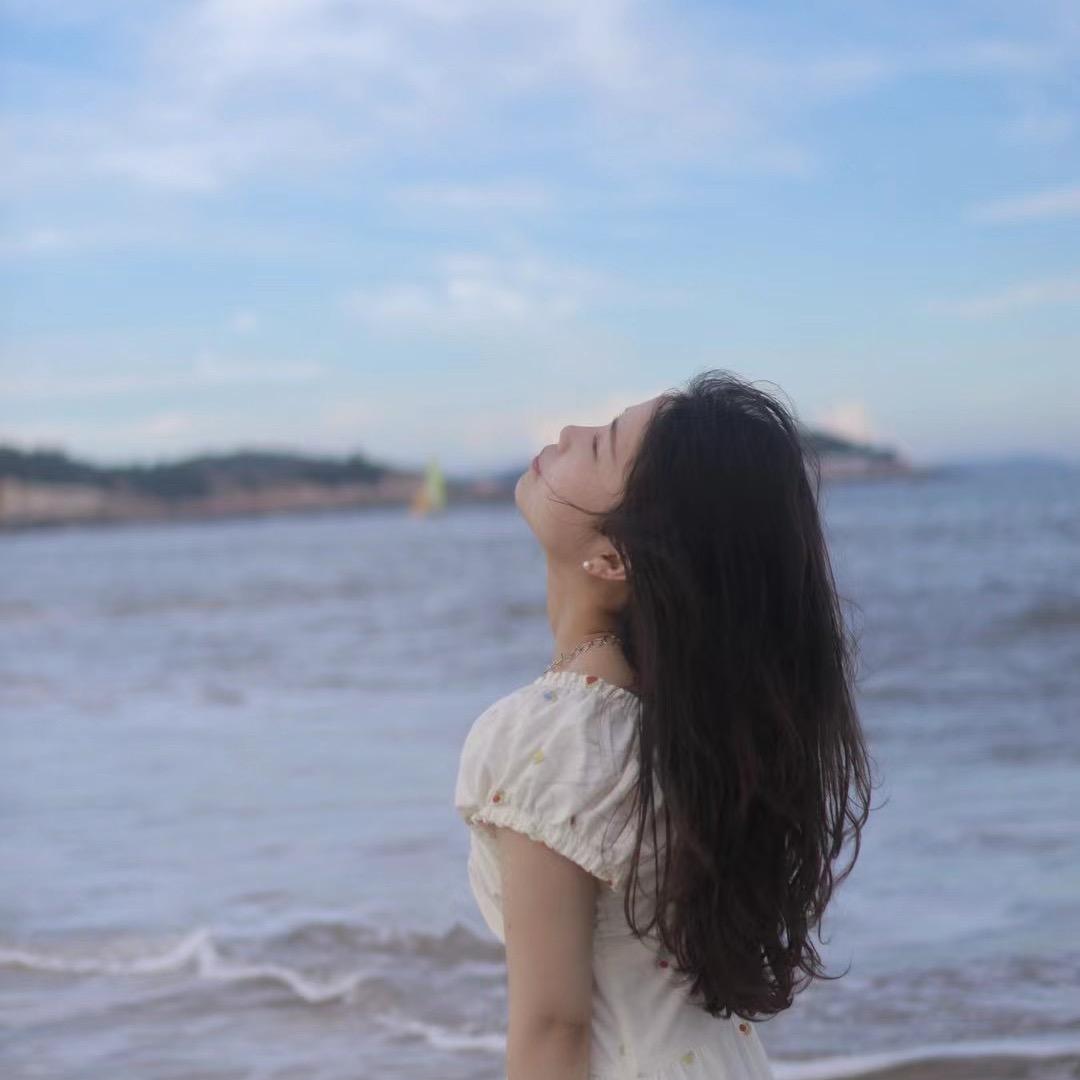 四木绘