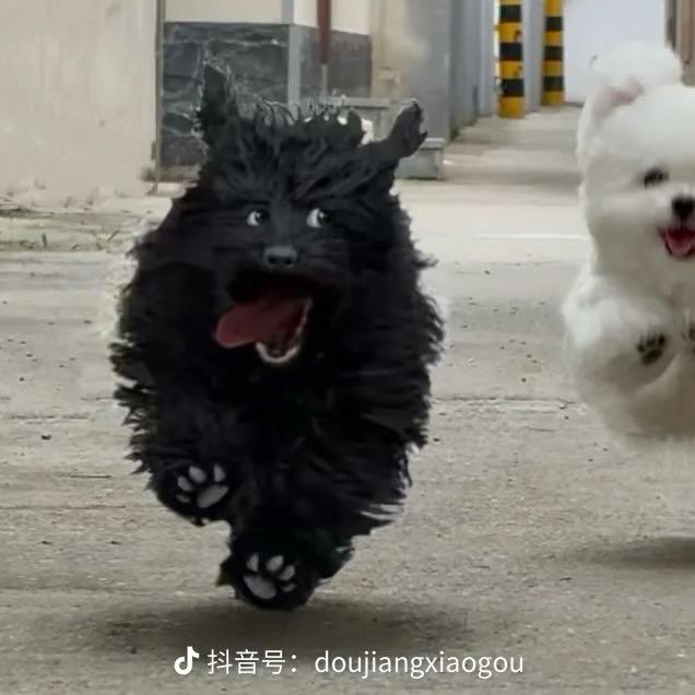 陈大妈理发铺