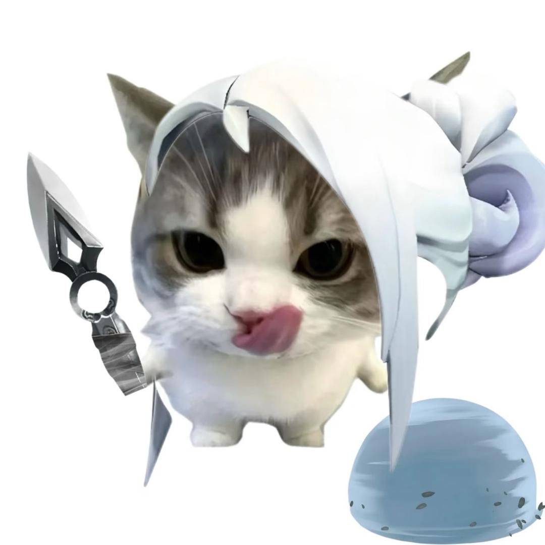 小猫小猫你是谁