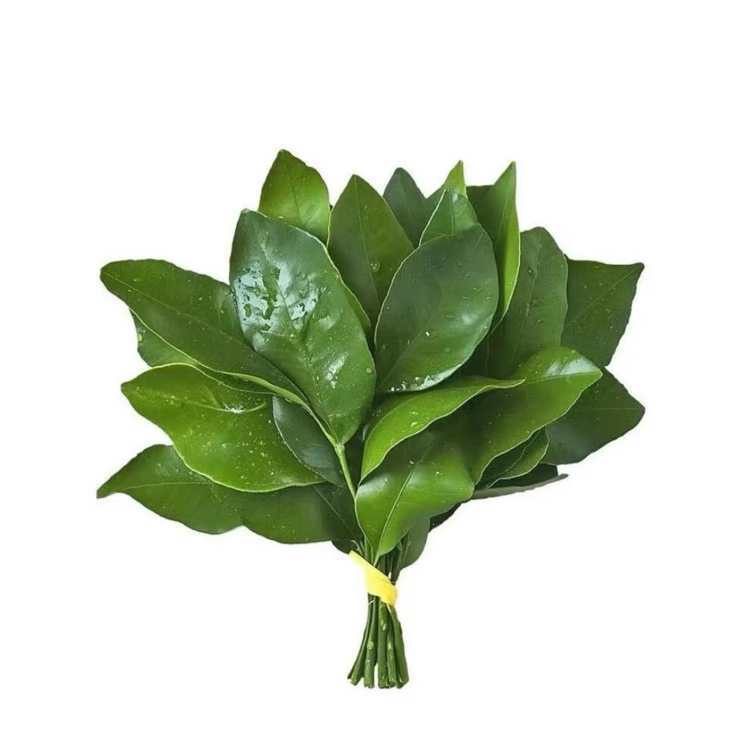小霸王吃垮保定