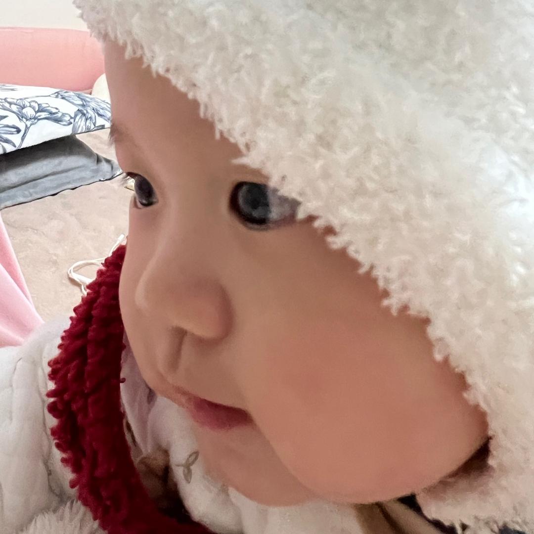 小小董事长（不是胆小鬼。）